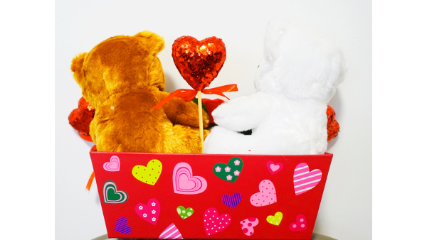 Mother's Day Celebration Twin Bears Flower Ornaments Gift for all our Special Mothers Box Set Includes Beautiful of Necklace and Earrings