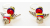 Colombiana hecha a mano pendientes angel cuentas tricolor hecho a mano abalorios regalo para su regalo para los hombres Aretes Tipico Unisex Joyeria impermeable