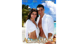 Acorralada (Venezuela 2008) Telenovela Completa Telenovelas Latinas Serie Televisión Telenovela Tragicomedia Serie Romanticas